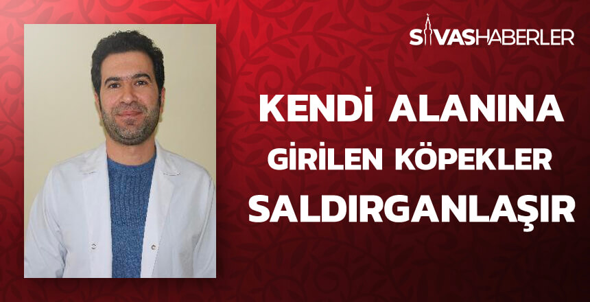 Kendi alanına girilen köpekler saldırganlaşır