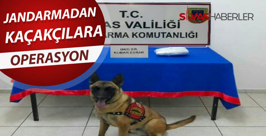 Jandarmadan kaçakçılara operasyon