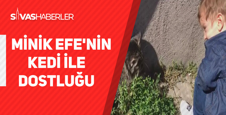 Minik Efe’nin kedi ile dostluğu