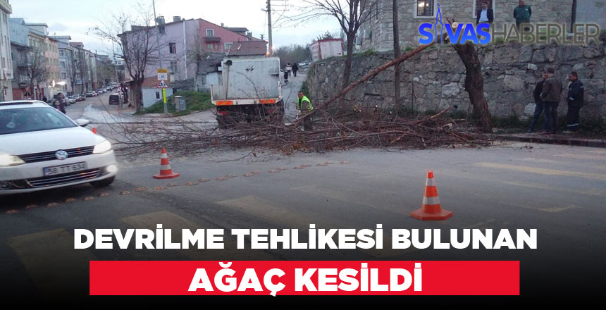 Devrilme Tehlikesi Vardı, Belediye Ekipleri Kesti