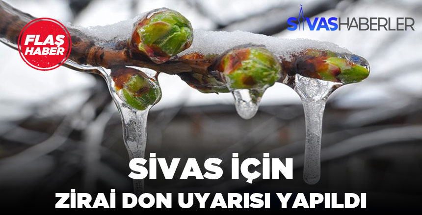 Sivas için Zirai Don Uyarısı Yapıldı