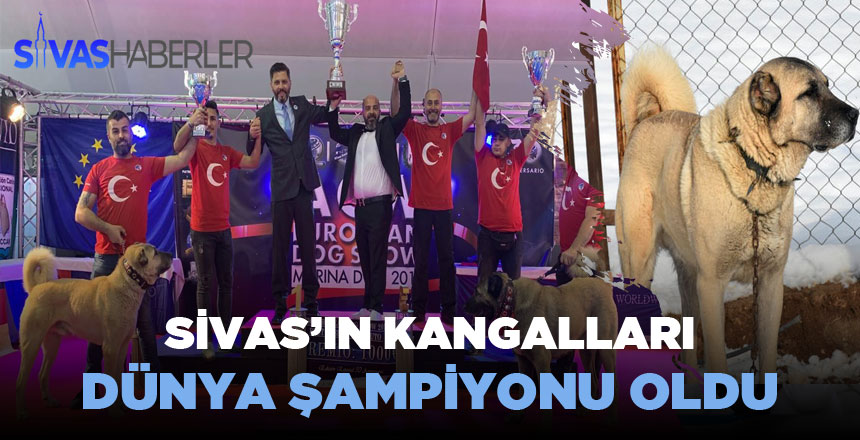 Sivas Kangal Cinsi Köpekler Dünya şampiyonu oldu
