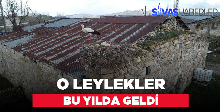 Bir Asır Önceki Leyleklerin Kuşakları Bu Yılda Döndü