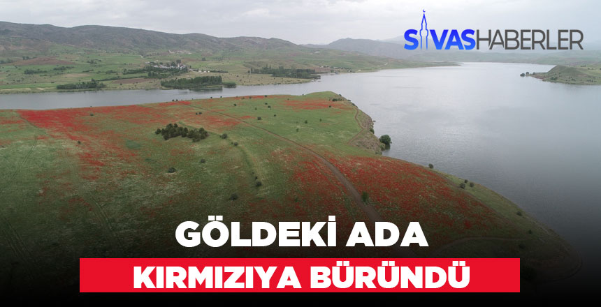 Adanın bir kısmı kırmızıya boyandı