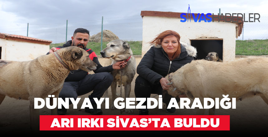 Dünyanın Birçok Ülkesini Gezdi Sivas’ta Buldu