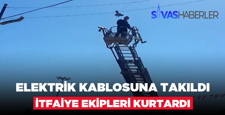 Elektrik Kablosundan Güvercini İtfaiye Ekipleri Kurtardı