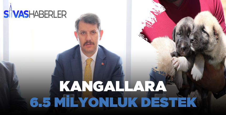 Kangallara 6.5 Milyonluk Destek