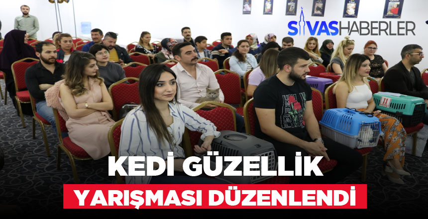 Birbirinden Güzel Kediler Yarıştılar