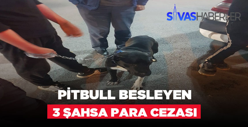 İzinsiz Pitbull Besleyen 3 Kişiye Ceza