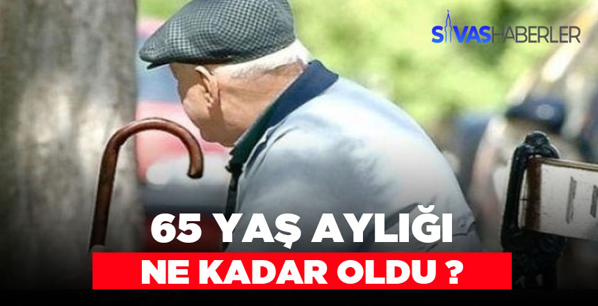65 Yaş Aylığı Ne Kadar Oldu? Yaşlılık Maaşı Alma Şartları
