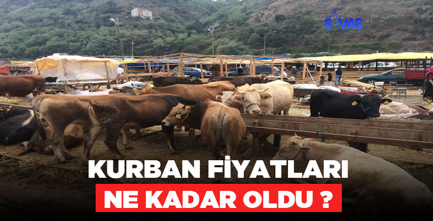 Kurban Fiyatları 2019’da ne kadar oldu