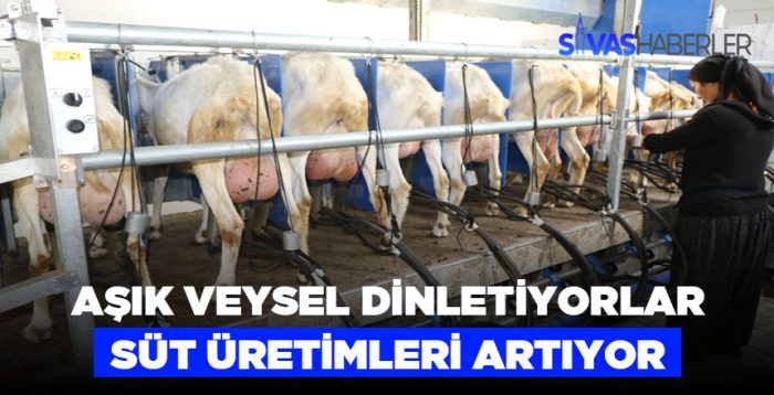 Keçiler Aşık Veysel dinleyince sütleri arttı