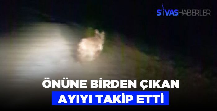 Yola düşen boz ayıyı takibe aldı