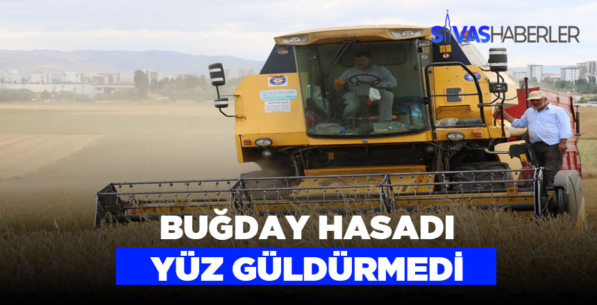 Bu yıl Sivas Buğdayı rekoltesi düşük çıktı