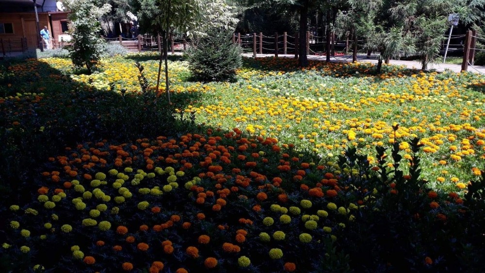 Çiçeklerle donatılan Ekopark bir başka güzel