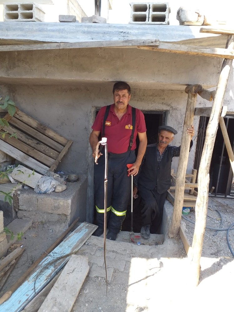 Eve giren yılan etkisiz hale getirildi