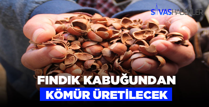 Kömür için yeni Hammadde Fındık kabuğu
