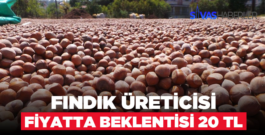 Fındıkta bu yıl beklenti 20 TL düşünülüyor
