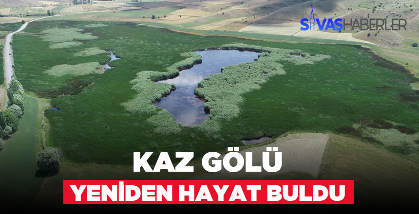 Kaz Gölü eski günlerine dönmeye başladı