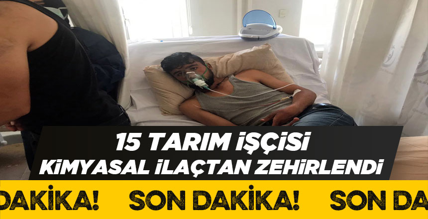 Ulaş İlçesinde 15 Tarım İşçisi Zehirlendi