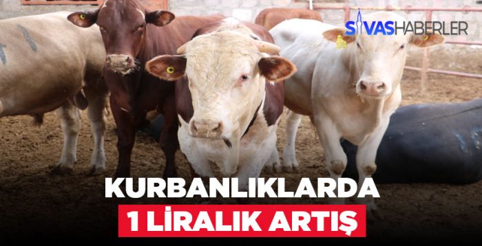 Kurbanlıklar geçen yıla göre 1 TL daha pahalı