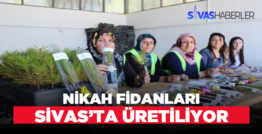 Nikah şekerleri yerine nikah fidanları