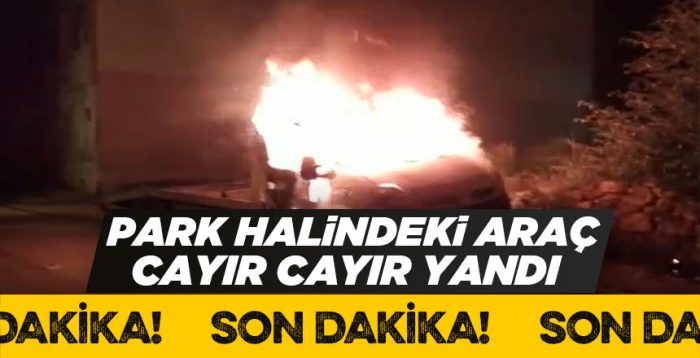 Park halindeyken kamyonet yanmaya başladı