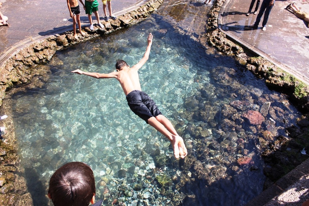 Sıcaklardan bunalan süs havuzlarına koştu
