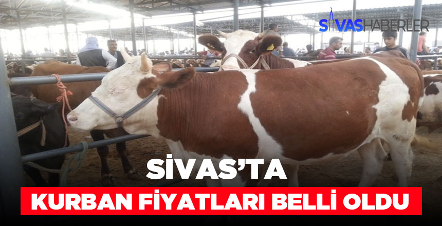 2019 Kurban fiyatları kilosu 20 ile 23 TL olarak belirlendi