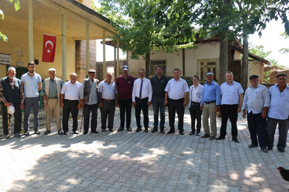 Sungurlu’da 10 dilim kavun hasadı başladı