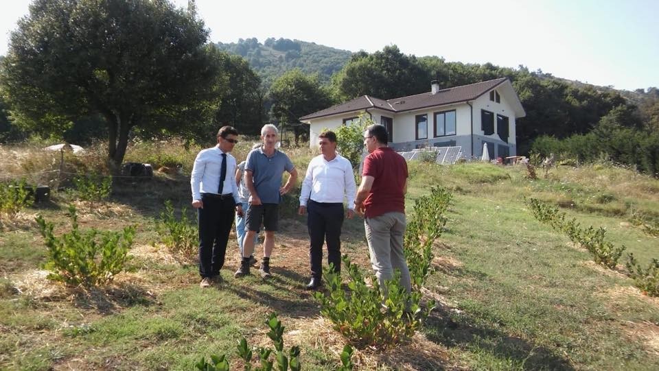 Yalova’da aronya üretimi artıyor