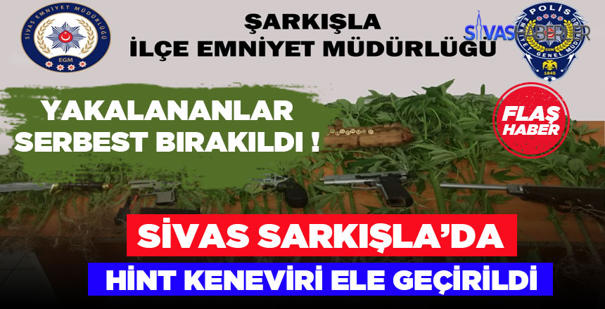 Sivas Sarkışla’da Hint keneviri ve silah ele geçirildi
