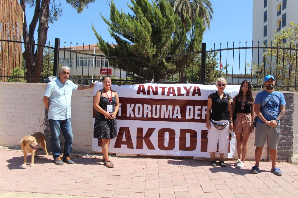 Antalya’da hayvanseverlerden mezarlık talebi