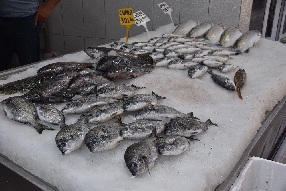 Eşkina balığı tezgahlardaki yerini almaya başladı