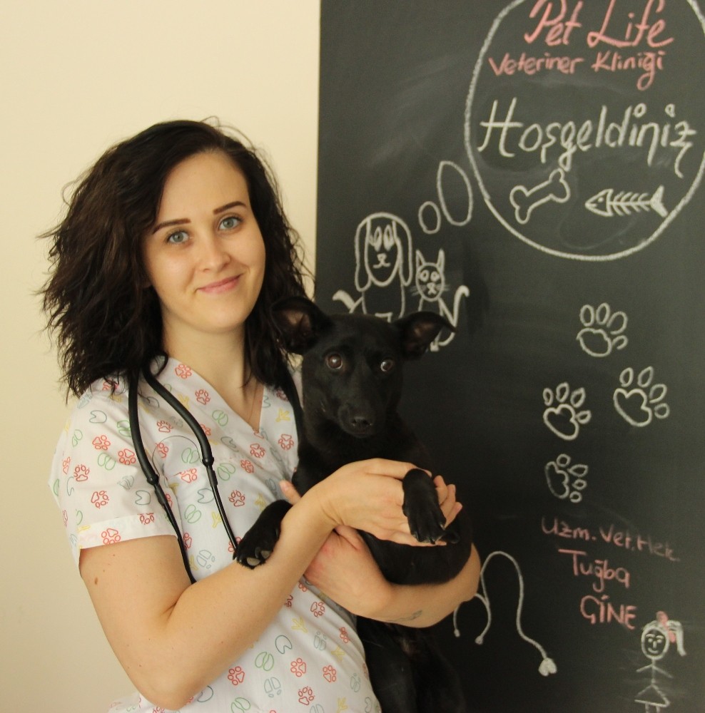 Evcil hayvanları için öğle saatlerine dikkat