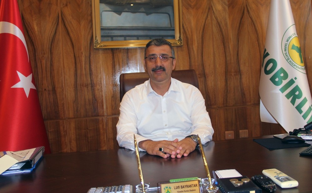 FİSKOBİRLİK yarın fındık alımlarına başlıyor