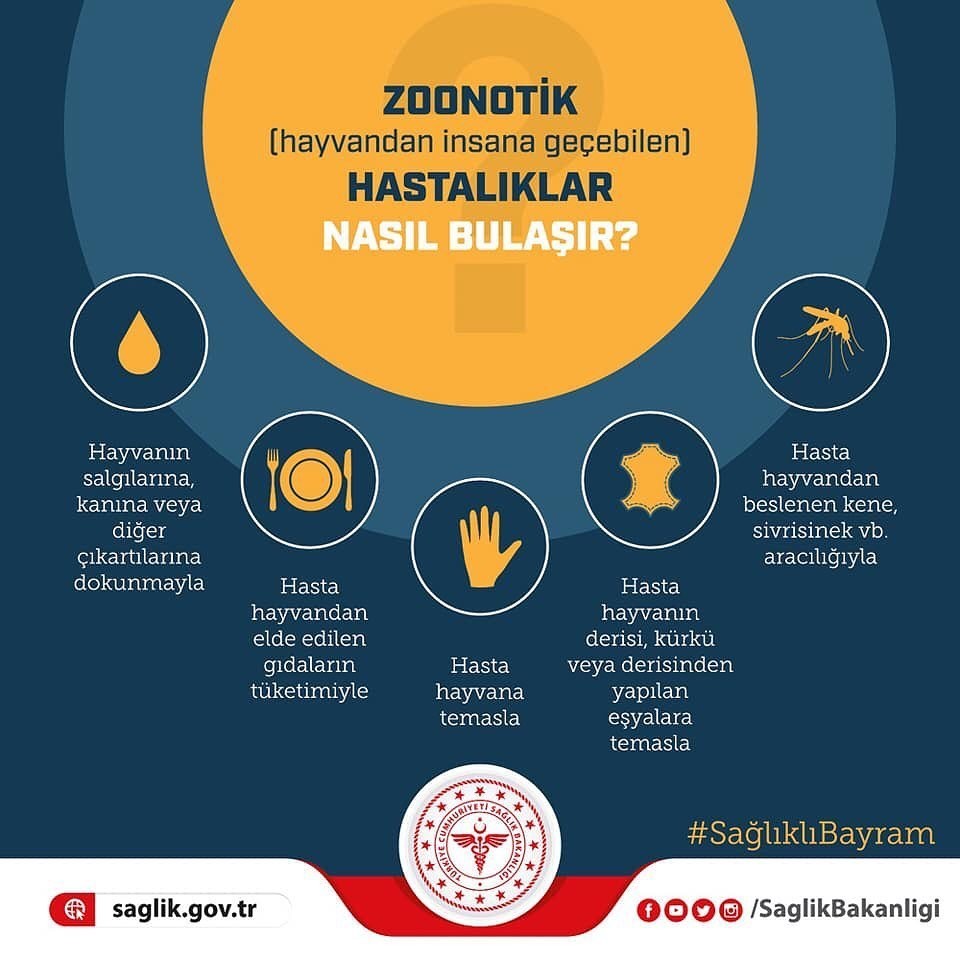 Hastaneden ’Zoonotik’ uyarısı