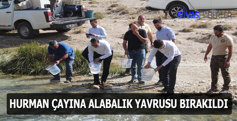Alabalık yavruları Hurman Çayına salındı