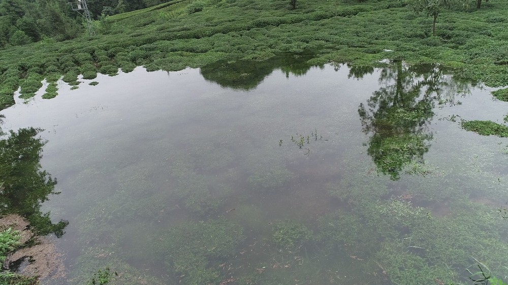 İki kişinin inadı çay bahçesini göle döndürdü