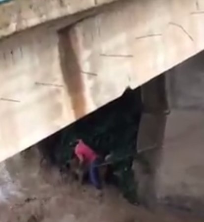 Irmakta mahsur kalan köpeği böyle kurtardı