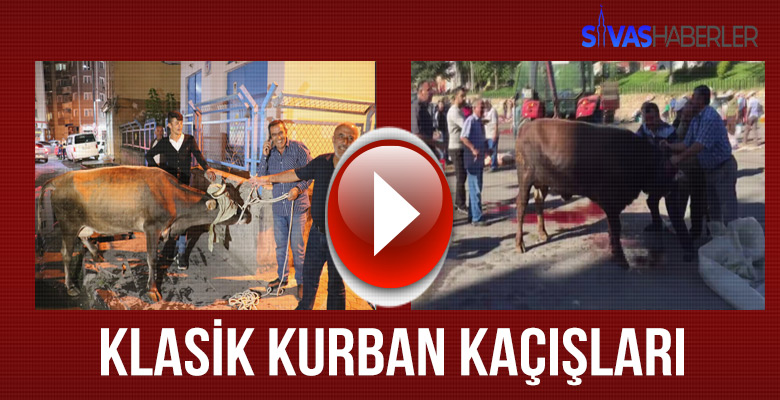 Sivas’ta Klasik Kurban Kaçış Manzaraları