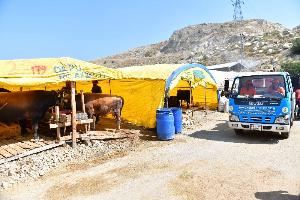 Kurban satış yerlerinde hijyen