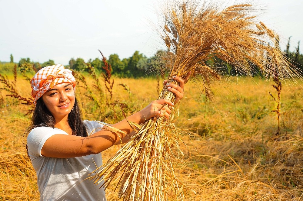 Seferihisar’daki şenlik binlerce kişiyi buluşturacak