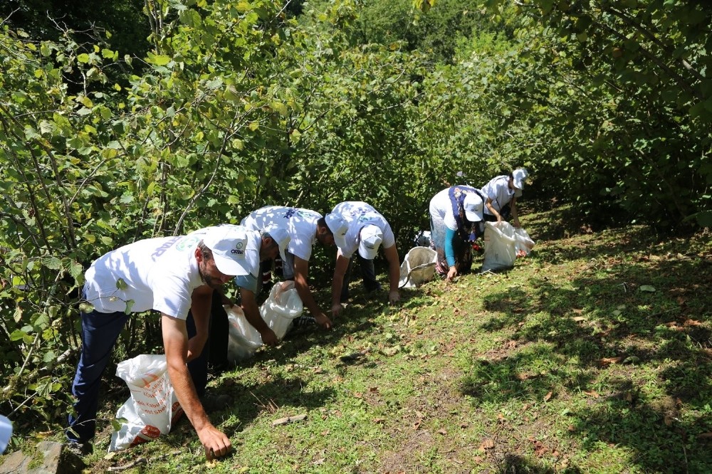 Sigortalı fındık işçileri bahçede