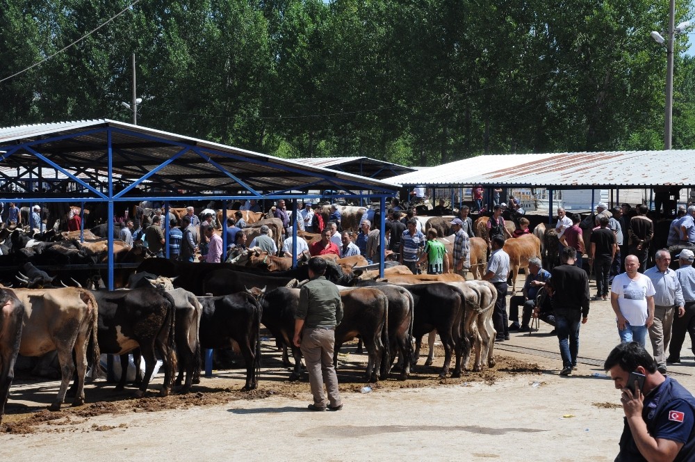 Simav’da kurban pazarı açıldı