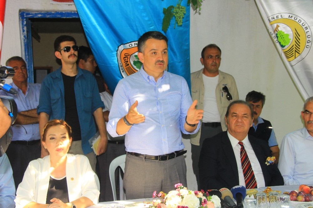 Tarım ve Orman Bakanı Pakdemirli: “Yangına ilk müdahaleyi 12 dakikaya düşürdük”