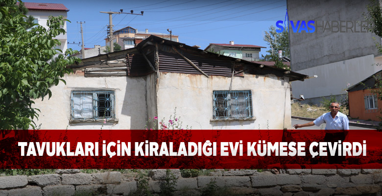 Tavuk ve Horozları için Ev Kiraladı