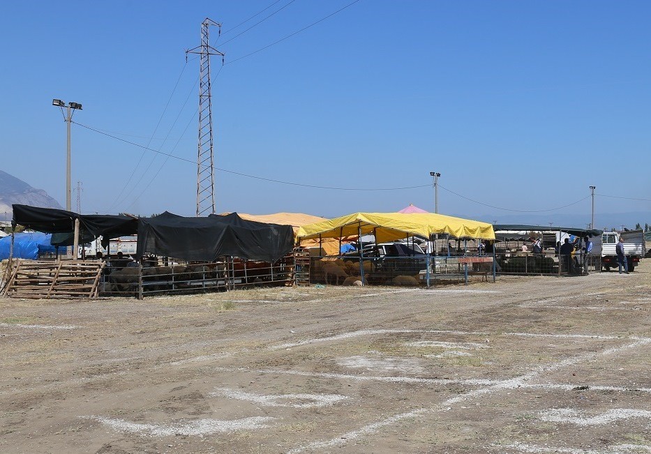 Turgutlu Hayvan Pazarında kotralar satışta