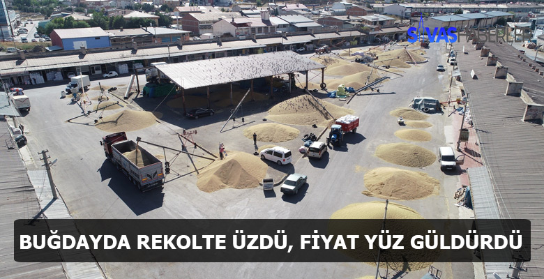Sivas’ta Buğdayda Düşük Rekolteye Yüksek Fiyat