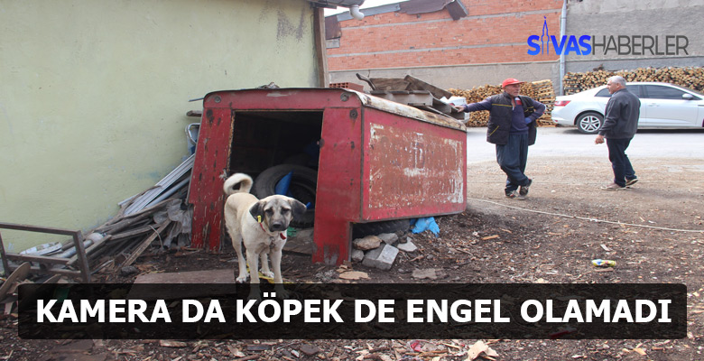 Hem kamera hem de köpek hırsızlara engel olamadı!